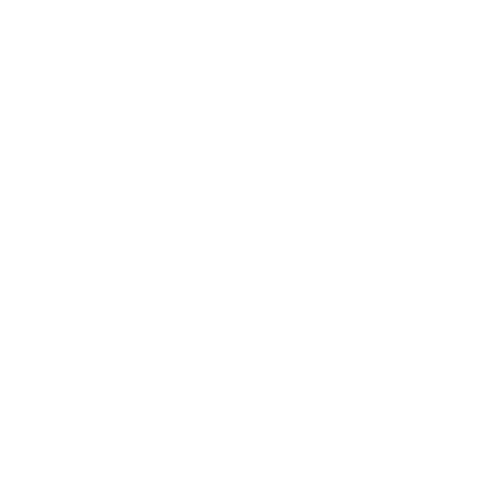 micro_mouse